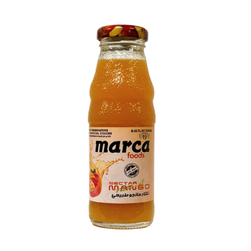 MARCA NECTAR MANGO 250 ML X 24